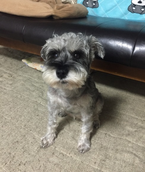 b0188998_23591525.jpeg