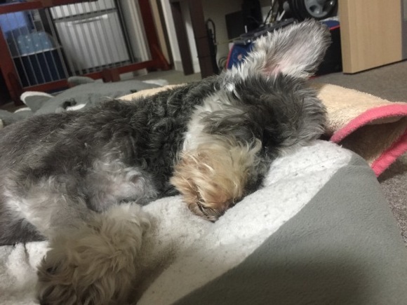 b0188998_23592664.jpeg