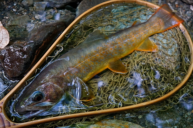 c0339900_1003690.jpg