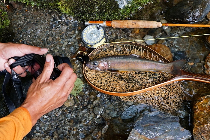 c0339900_1555436.jpg