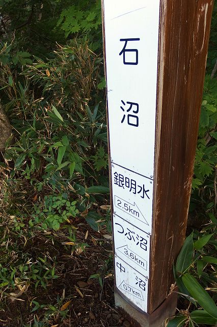 e0137200_2051758.jpg