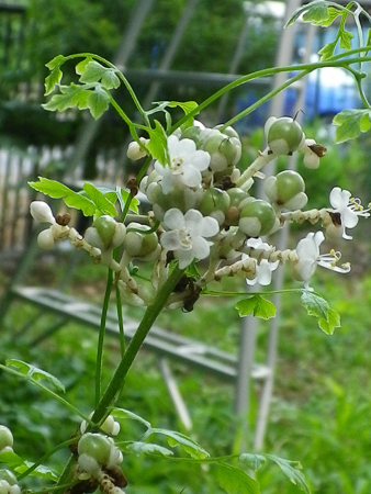 f0239100_22261533.jpg