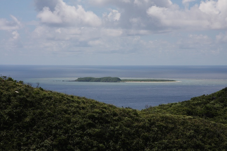 d0136804_09541779.jpg