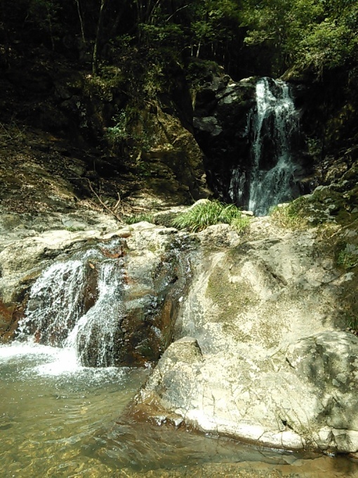 c0149408_16424218.jpg