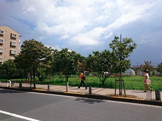 d0091909_16264212.jpg