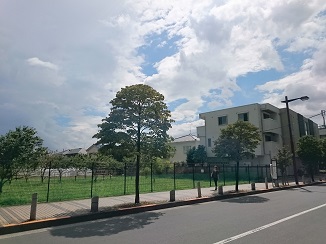 d0091909_16265160.jpg