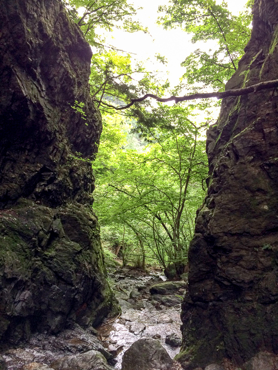 b0244811_231223.jpg