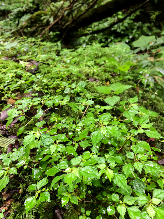 b0244811_23125519.jpg