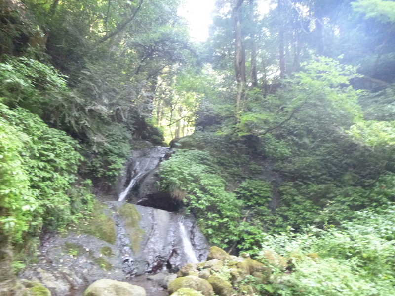 d0170615_1064130.jpg