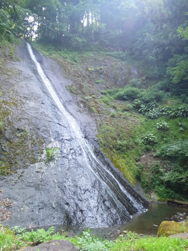 d0170615_1065862.jpg