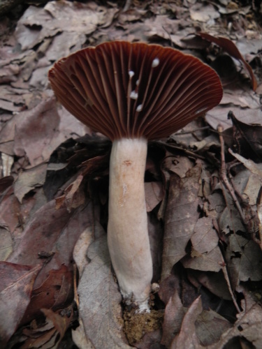 e0352220_00015539.jpg