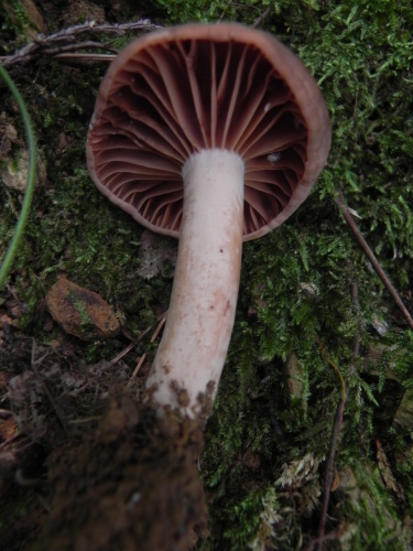 e0352220_00070646.jpg