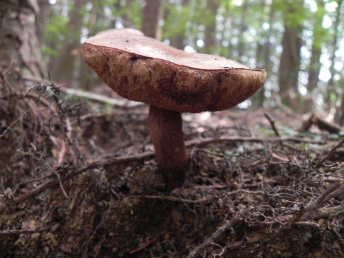 e0352220_00093348.jpg