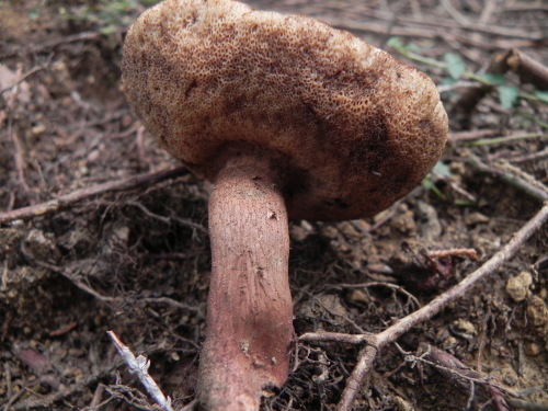 e0352220_00101429.jpg