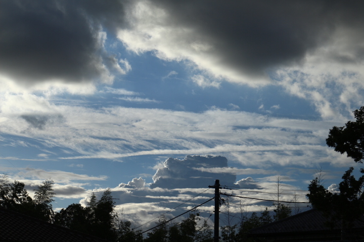 f0354923_14093316.jpg