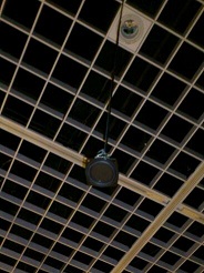 b0000924_22393328.jpg