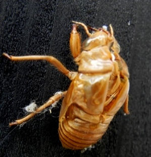 f0213825_14374656.jpg