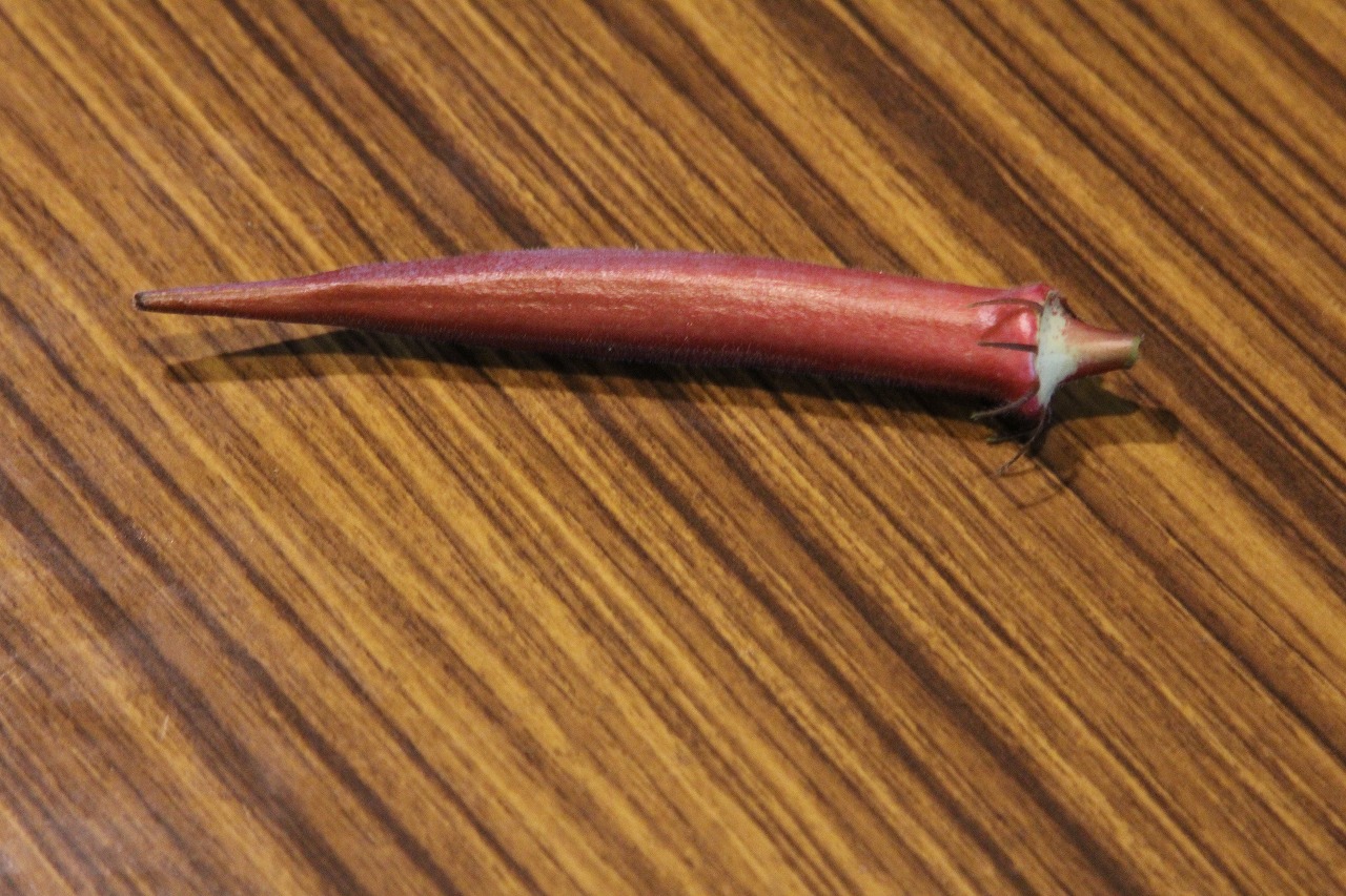 f0225627_2120925.jpg