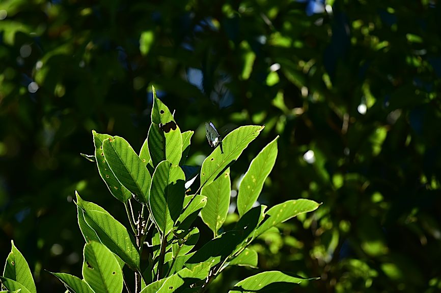 d0303129_352019.jpg