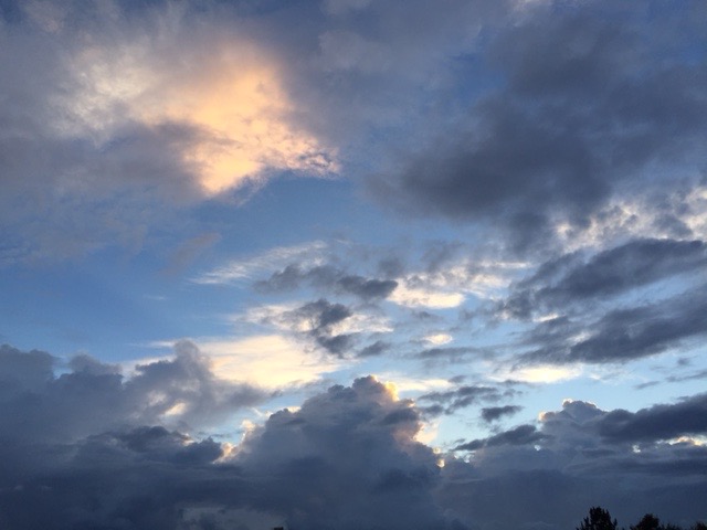 d0195731_11452590.jpg