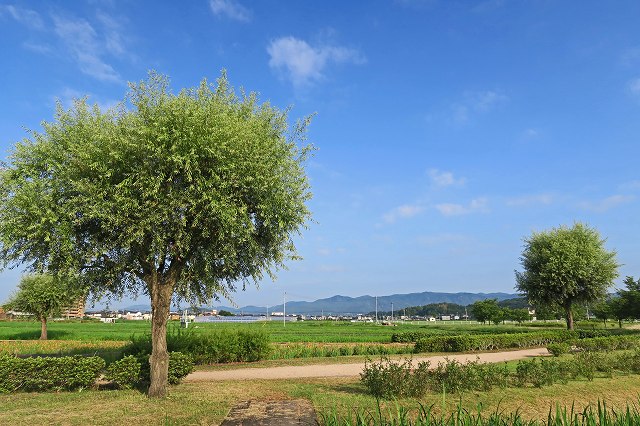 a0242438_19295098.jpg