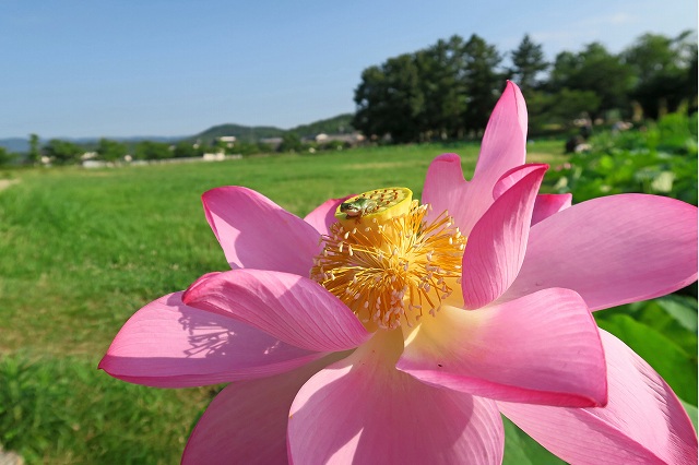 a0242438_19311678.jpg
