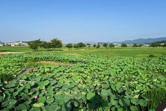 a0242438_19315328.jpg