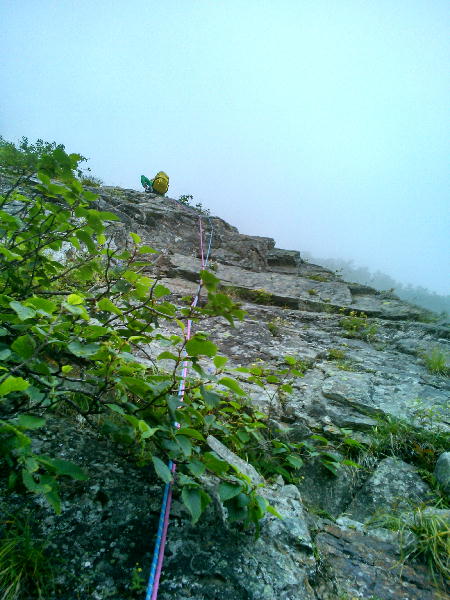 d0107938_12543131.jpg