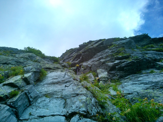 d0107938_12564476.jpg