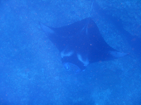f0014842_18451949.jpg