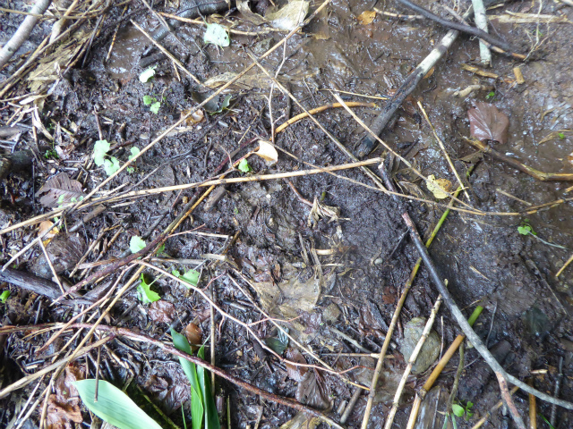 f0104042_1519688.jpg