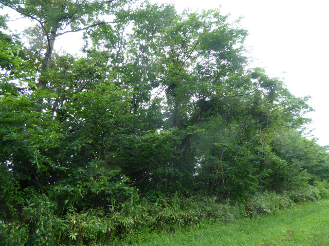 f0104042_15471672.jpg