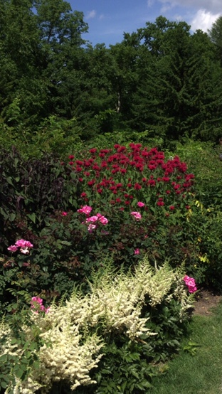 c0335145_1862429.png