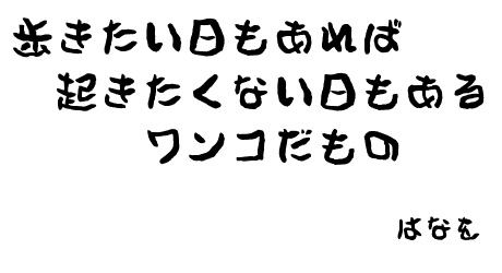 a0054948_10223925.jpg