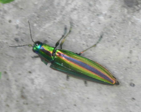 e0172950_21104885.jpg