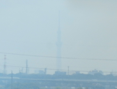 e0172950_2194397.jpg