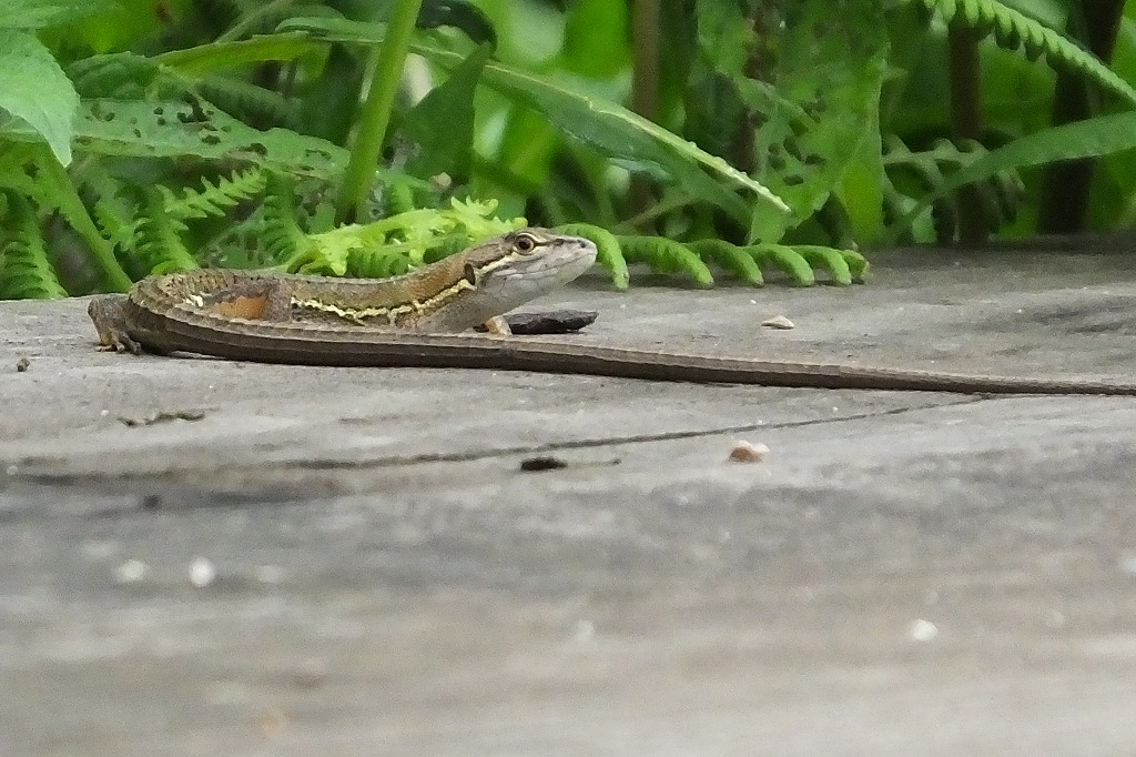 b0236251_11585960.jpg