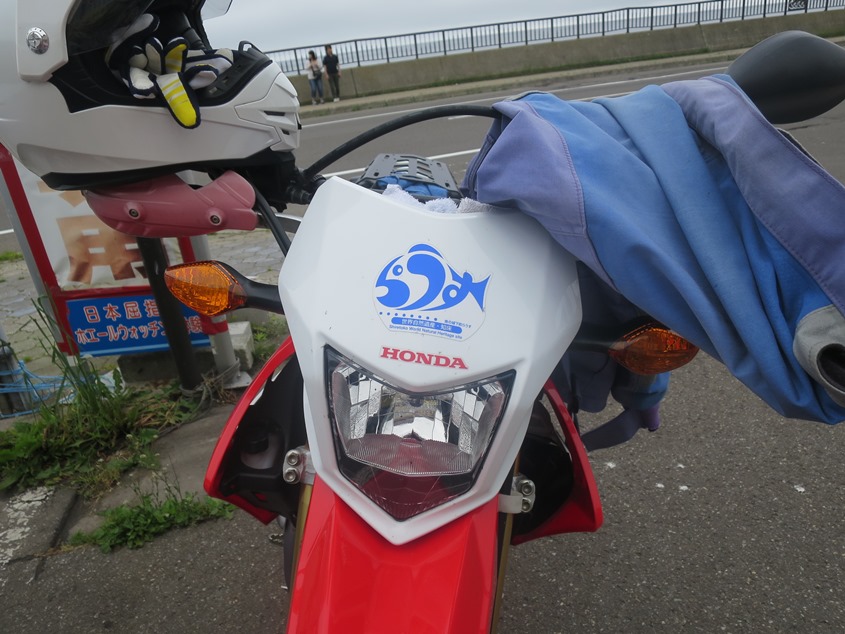 f0202151_1440842.jpg