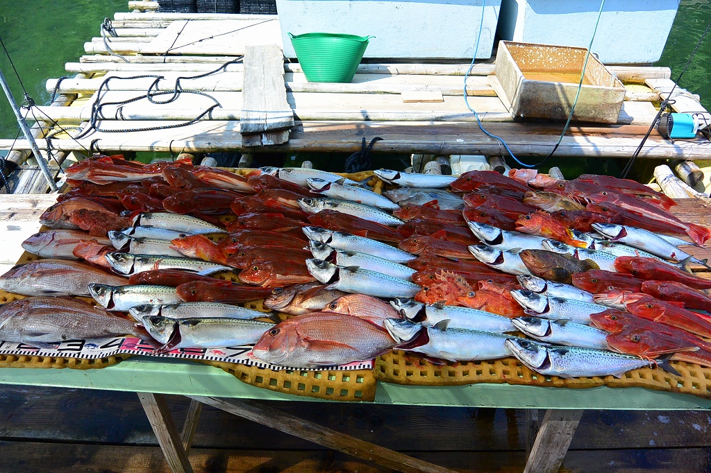 a0248152_1731948.jpg