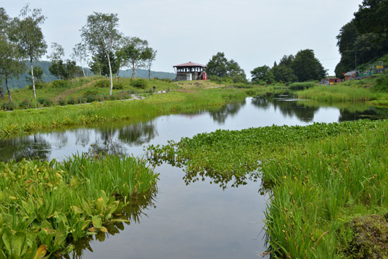 b0016557_21121910.jpg