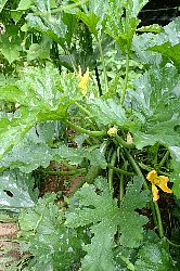 f0035962_9314167.jpg