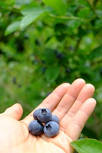 f0035962_9335290.jpg