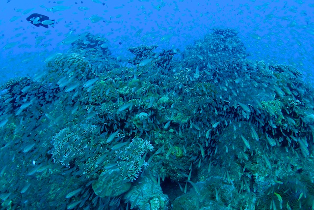 b0062363_16413833.jpg