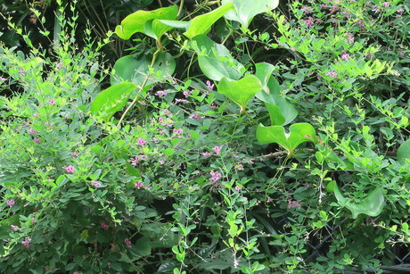 e0292172_20453396.jpg