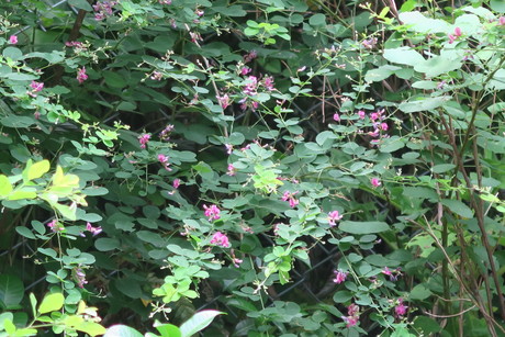 e0292172_2046021.jpg