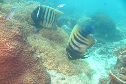 c0039073_23385090.jpg