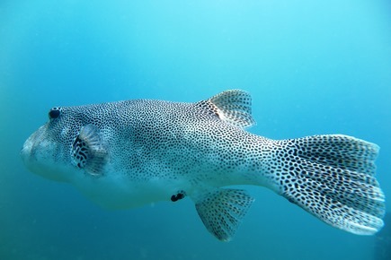 c0039073_23390905.jpg
