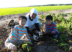 c0196074_891837.jpg