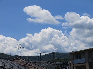 e0130185_12503221.jpg