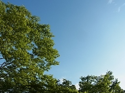 e0155085_21454042.jpg